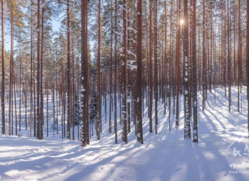 Снежные пути гряды Вярямянселькя