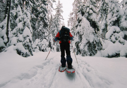 Однодневная прогулка на снегоступах