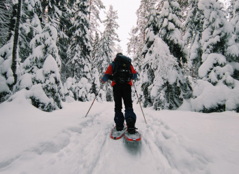 Однодневная прогулка на снегоступах
