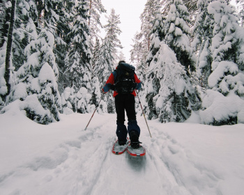 Однодневная прогулка на снегоступах