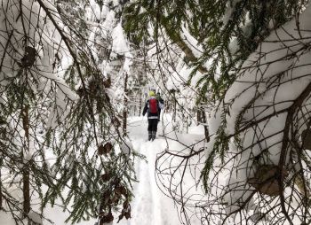 Зимний поход в Каннельярви