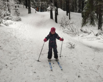 Моя первая лыжня. Золотая долина и Еловые холмы с детьми