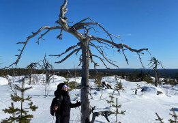 Легенды мистической горы Воттаваара