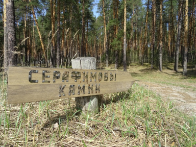 Ядерный поход