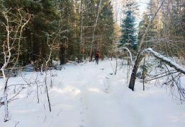 Однодневный пеший поход "Гжель - Кузяево"