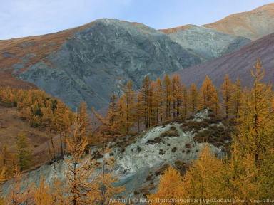 Фототур: к Белухе по Ороктойской тропе (с конями)