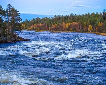 Финляндия на байдарках: золотые прииски, горные тундры и сплав в парке «Лемменйоки»