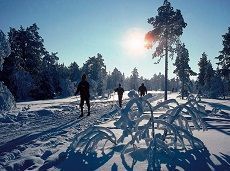 Лыжная прогулка в Битцевском парке - Москва