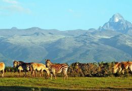 Восхождение на гору Кения и сафари в Масаи-Мара