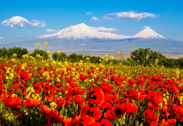 Весенняя Армения: пешком через горы, ущелья и цветущие поля