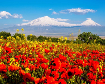 Весенняя Армения: пешком через горы, ущелья и цветущие поля