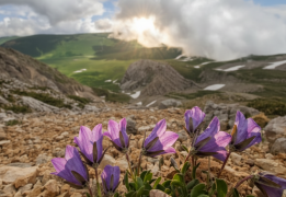 Легендарная Тридцатка. Поход без рюкзаков: Кавказский биосферный заповедник