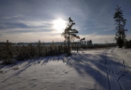Лыжная прогулка - зима в Подосинках