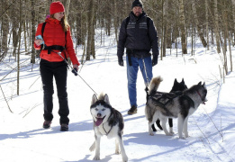 Однодневный поход-трекинг с хаски