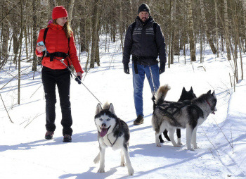 Однодневный поход-трекинг с хаски