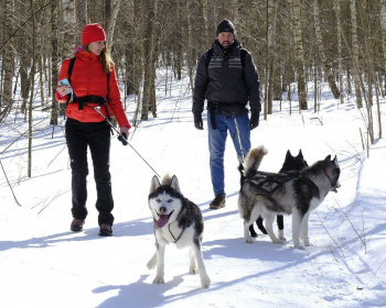 Однодневный поход-трекинг с хаски