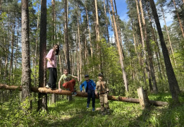Однодневный поход «На свежий воздух»