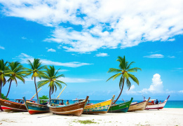 Гоу Гоа (разведка)