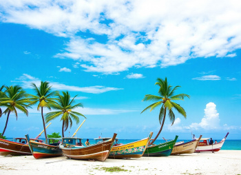 Гоу Гоа (разведка)