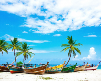 Гоу Гоа (разведка)