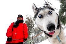 Мульти тур. Конный экскурсионный маршрут с прогулкой на собачьих упряжках «Зимний собаконь»