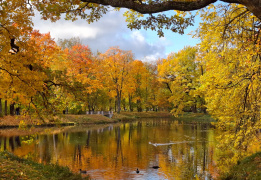 Золото осенних дорог: велотур в Пушкинские горы