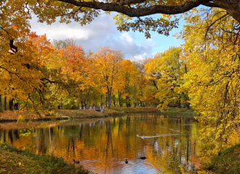 Золото осенних дорог: велотур в Пушкинские горы