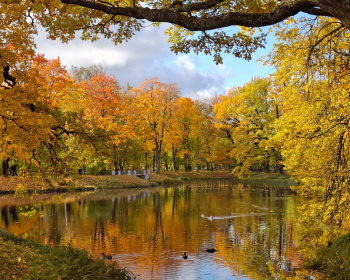 Золото осенних дорог: велотур в Пушкинские горы