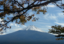 Осень у подножия Фудзиямы