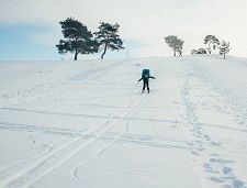 Лыжный поход - Зимняя сказка - Подмосковье