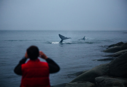 Шантарские острова: в поисках мечты (разведка)