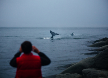 Шантарские острова: в поисках мечты (разведка)