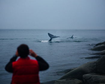 Шантарские острова: в поисках мечты (разведка)
