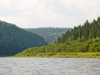 По Лене на байдарках