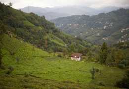 Горный лагерь «Турецкая Швейцария»