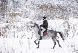 Конный экотур с фотосессией «Танцы с волками» (Тверская область)
