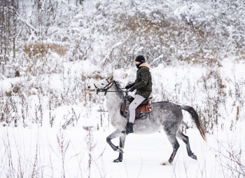 Конный экотур с фотосессией «Танцы с волками» (Тверская область)