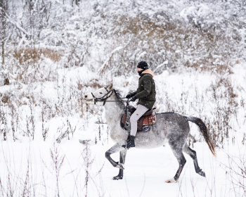 Конный экотур с фотосессией «Танцы с волками» (Тверская область)
