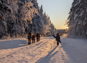 Лыжная тренировка в Ленобласти