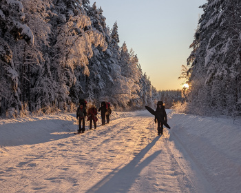 Лыжная тренировка в Ленобласти