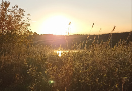 Однодневный пеший поход «Звенигородский заказник и карьер Сима»