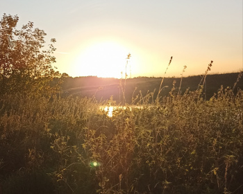 Однодневный пеший поход «Звенигородский заказник и карьер Сима»