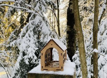 Однодневная прогулка по Токсовским высотам с посещением органного вечера