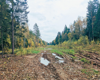 Хлюпай из Хлюпино