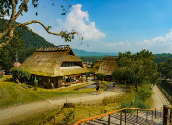 Фудзияма и другие сокровища Японии 