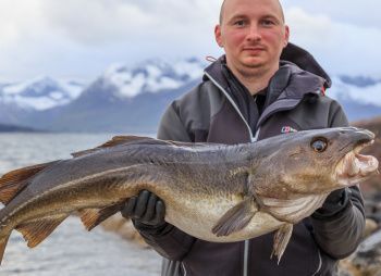 Рыбалка на о. Сенья, Норвегия (с трансфером от СПб)
