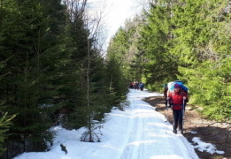 Марш-бросок: исток реки Москвы — Бородино (Подмосковье)