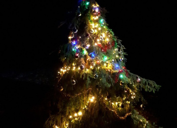 Лесной Новый год 