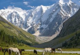 Комфорт-тур в Киргизии (разведка)