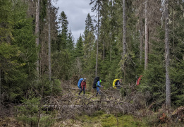 Тренировка к походу "Сотка за сутки"